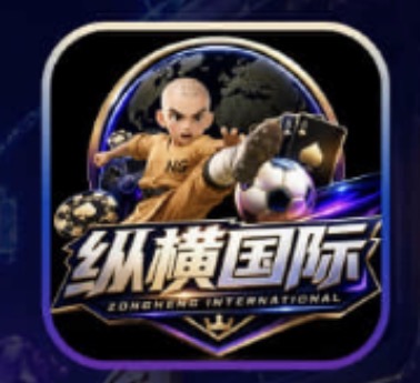 纵横国际
